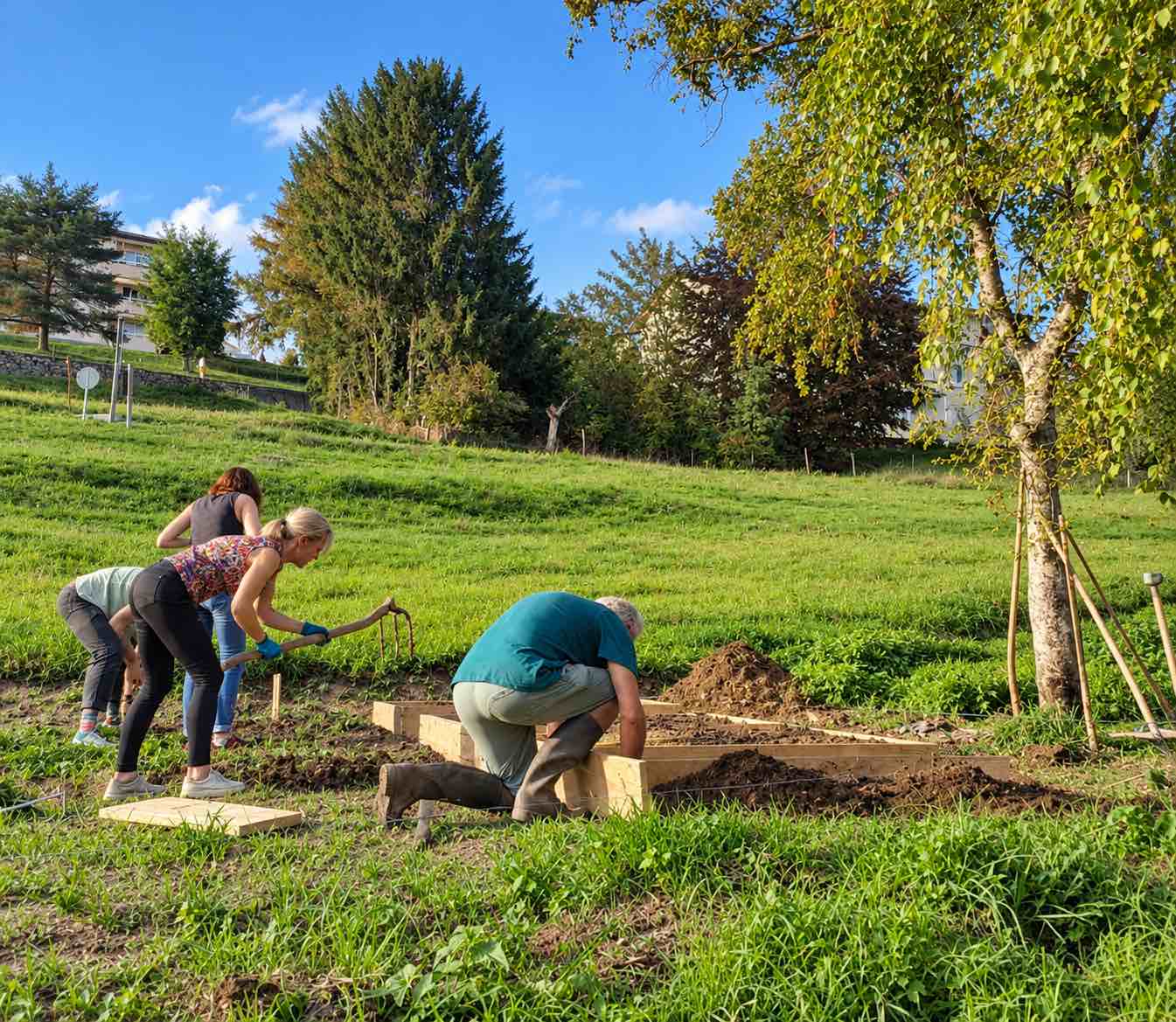 Potager communautaire et scolaire de Grandson