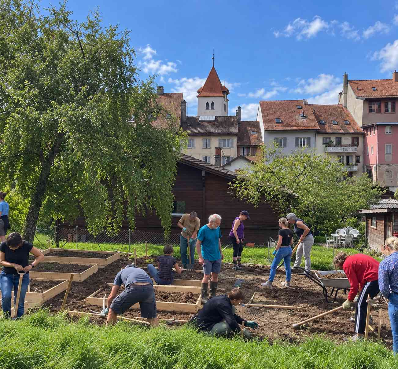 Jardinage au potager communautaire de Grandson