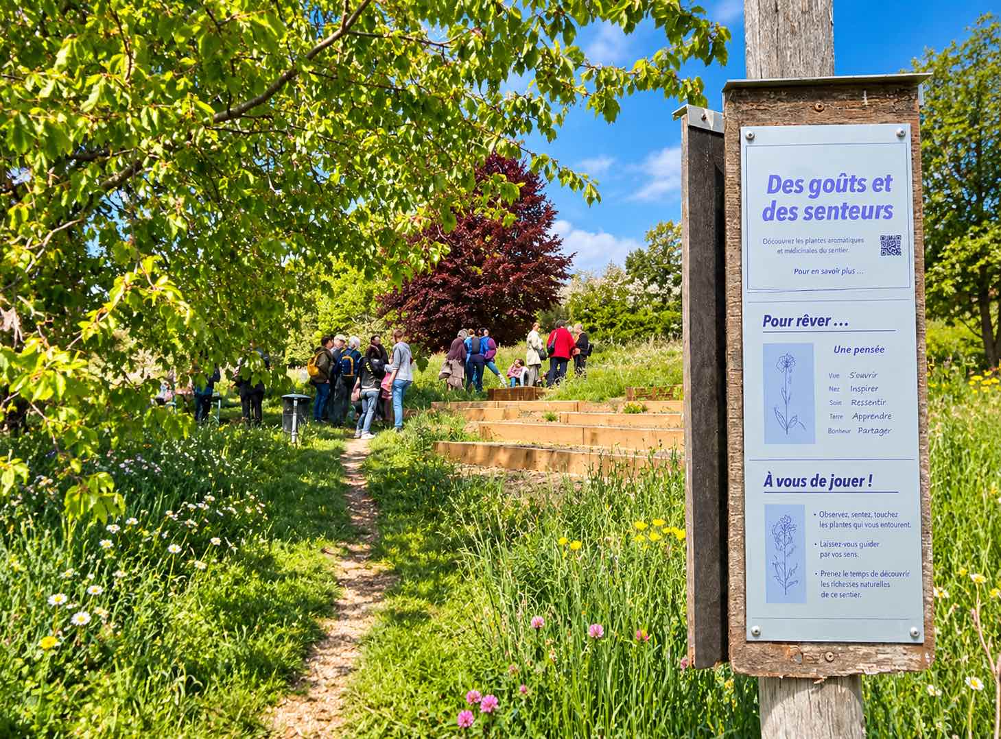 Sentier Nature en tous sens à Grandson